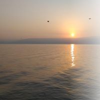 Galilee by Chris Shields