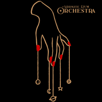 Save The World by The Midnite Rum Orchestra