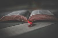 Real Women SOAR Bible Study