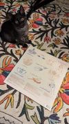 Alight Beyond the Sea - Vinyl