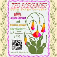Covid Safer House Concert