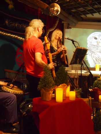 The Christmas Owl
