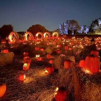 NIGHTFALL at Filoli
