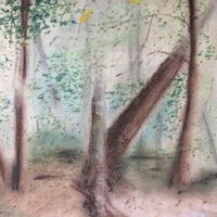 The Audubon EP by Addison Liming