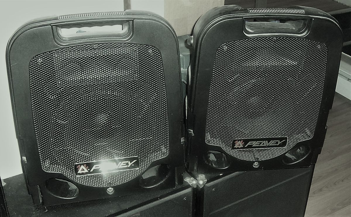 Peavey  Escort Pa Cabs...
