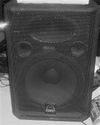 WarfeDale EVP S-15...  15" Pa cabs 