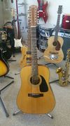 Fender DG 10/12 NS