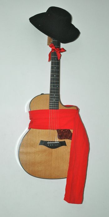 Taylor 714ce Koa Limited Edition
