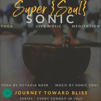 Sonic Yogi with Ananda Ji