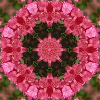 Solar Plexus by Sonic Yogi