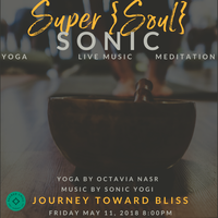 Sonic Yogi with Ananda Ji