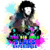 Big John Blues Experience @ The Sleepy Hollow Blues Club