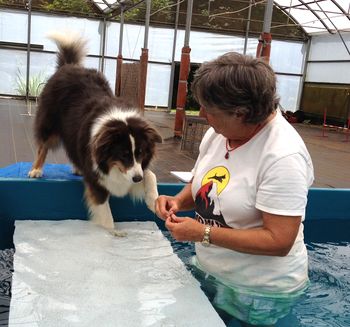 Sophie takes the plunge
