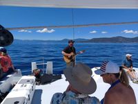 Wine Cruise 