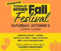 Elana Zabari at The Goshen Fall Festival