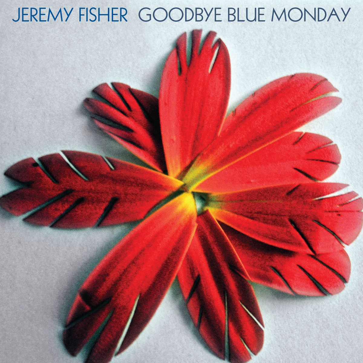 Goodbye Blue Monday - Vinyl