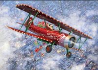 Arcadia Christmas Fly In