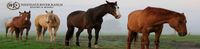 River Ranch Fly In (2RR)