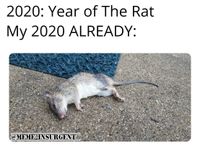 The Dead Rat Saloon