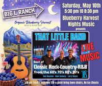 Blueberry Harvest Nights