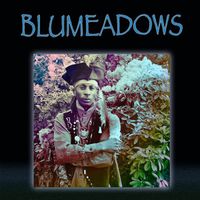 Blumeadows plays Sea-Tac 13 Coins 
