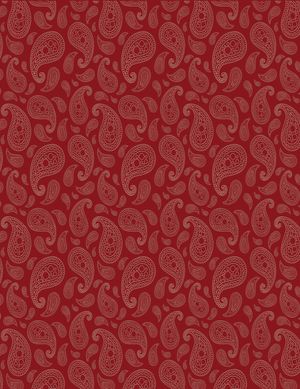 Seth Mulder & Midnight Run - EPK