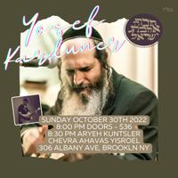 Yosef Karduner in Crown Heights feat. Aryeh Kunstler 