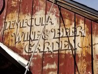 Serious Guise at Temecula Wine & Beer Garden