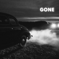 Gone by Shiny Shiny Black