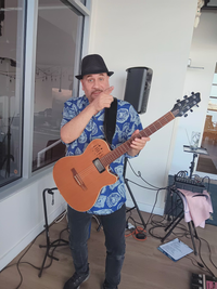 Victor Samalot / Instrumental guitarist