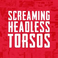 Consider The Source with very special Guests Screaming Headless Torsos