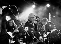 George Harrison's Birthday Celebration with Marc RIbler & Friends