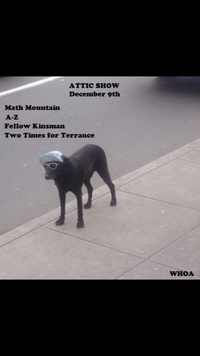 ATTIC SHOW