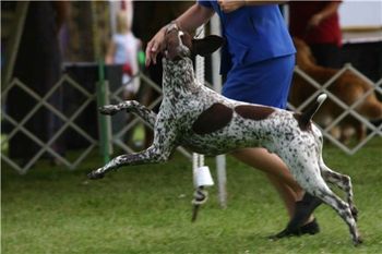 And here's his patented 'Tilt-A-Whirl' move which may not go far to win championships, but speaks volumes to his temperament.
