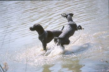 Whee! We've got an easy way to stay cool.

