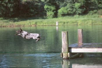 Big Air!
