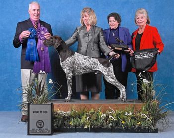 GSPCA 2011 National Winners Dog

