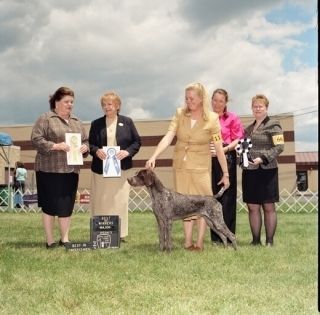 CH Pointsetter WR Warrior's Blade
