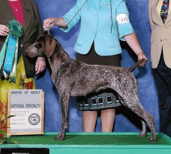 BISS National AOM CH White River Pixie Stardust JH NRD
