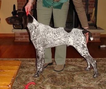 PS White River Jaeger Monster
