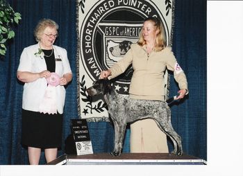 CH White River Pointsetter Raindrop
