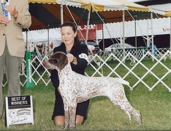 CH White River Surepoint Pizzaz, CGC
