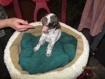 Tiny 3 weeks
