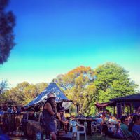 Colette Rivers playing at the Longbush Festival