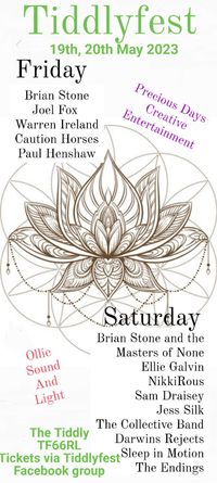 Brian Stone @ Tiddlyfest