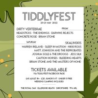 Brian Stone @ Tiddlyfest, Telford