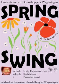 Spring Swing