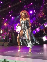 Karena Korokous, Singer-Songwriter performing as TINA TURNER - Tribute!