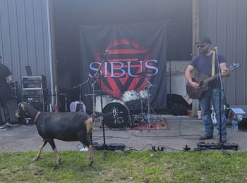 Who let the goats out?
