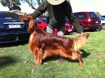 Hutch again.
